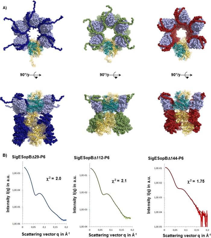 FIG 5