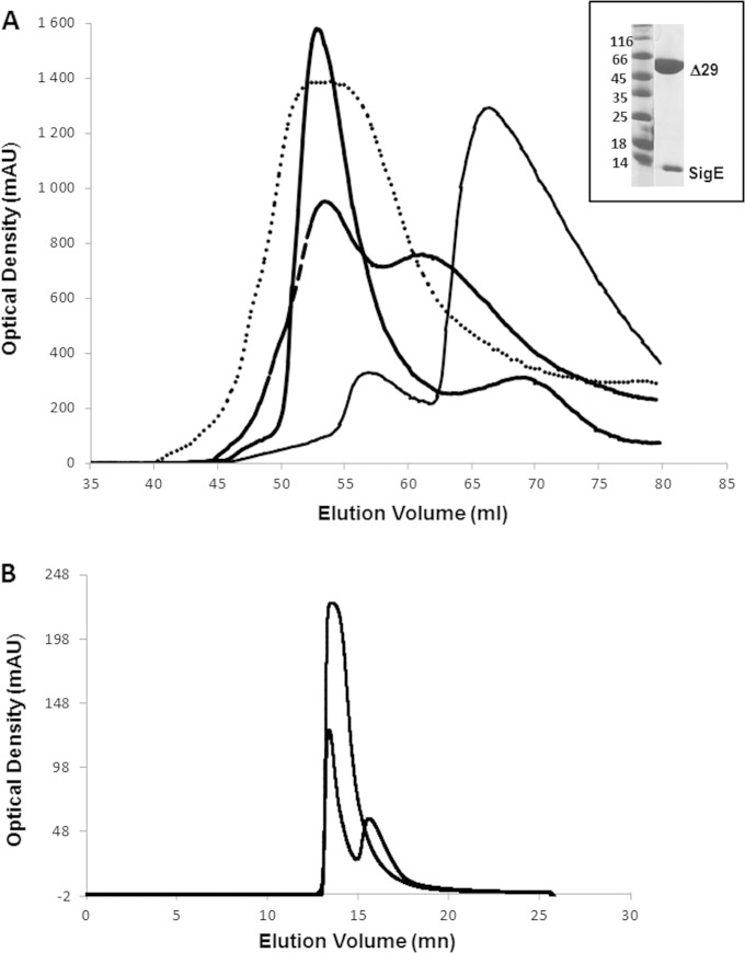 FIG 1