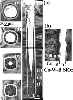 Fig. 5