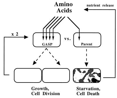 FIG. 7