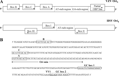 FIG. 1.