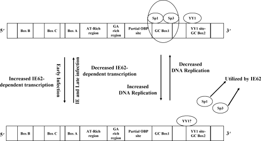 FIG. 8.