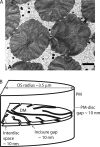 Figure 12.