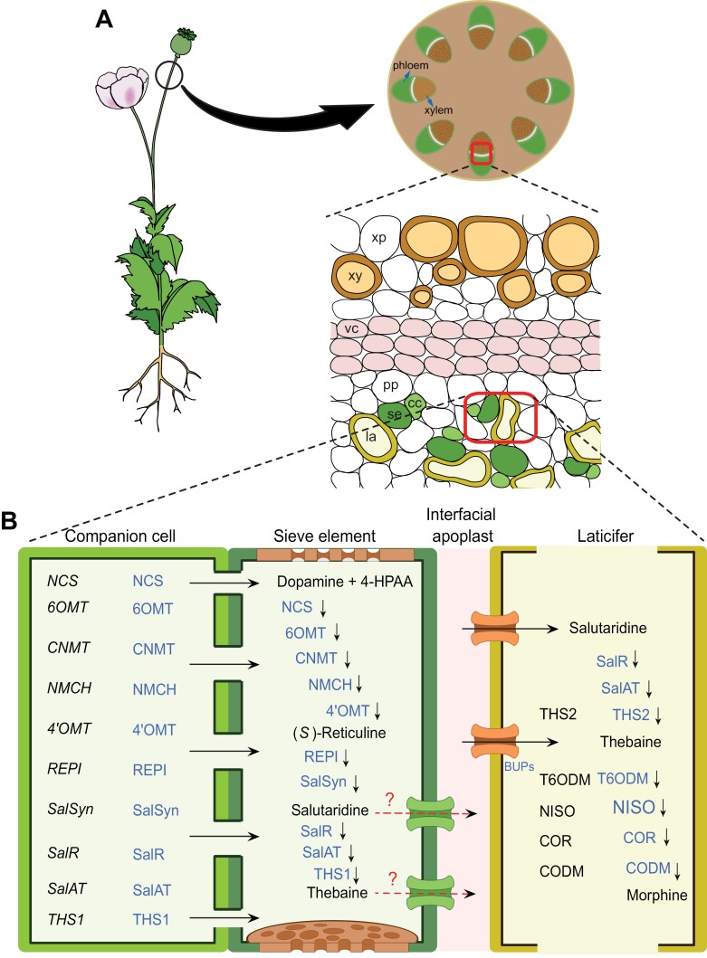 Fig. 3.