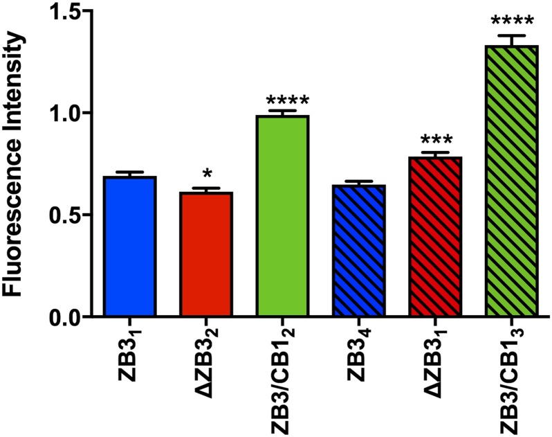 Figure 6.