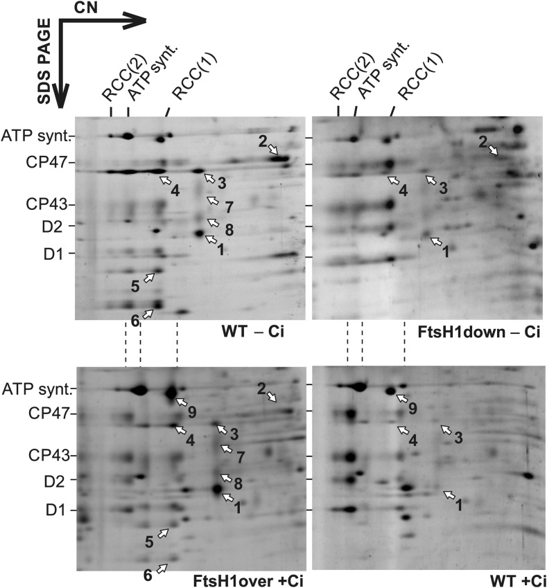 Figure 4.