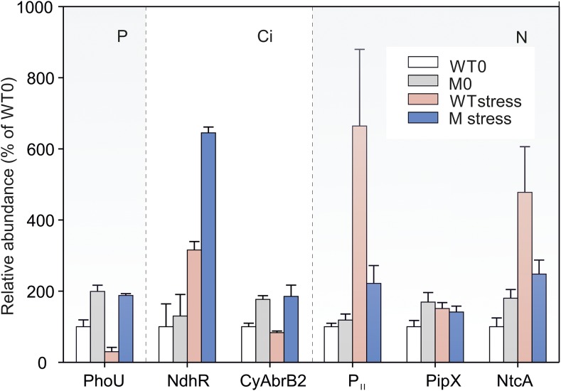 Figure 7.