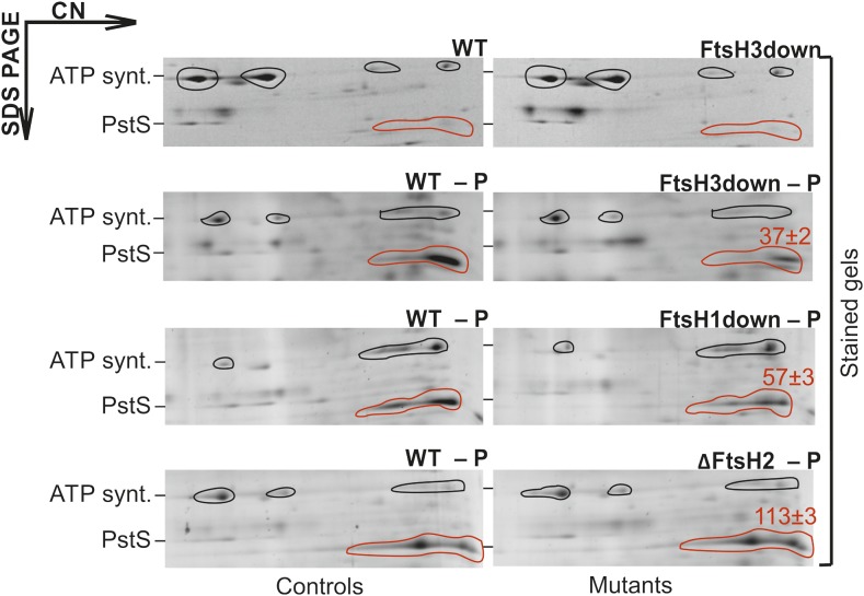 Figure 2.