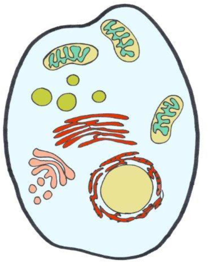 Fig. 2