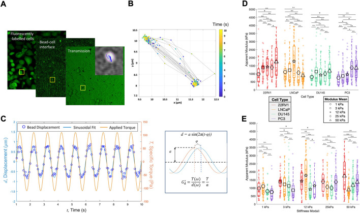 FIGURE 2