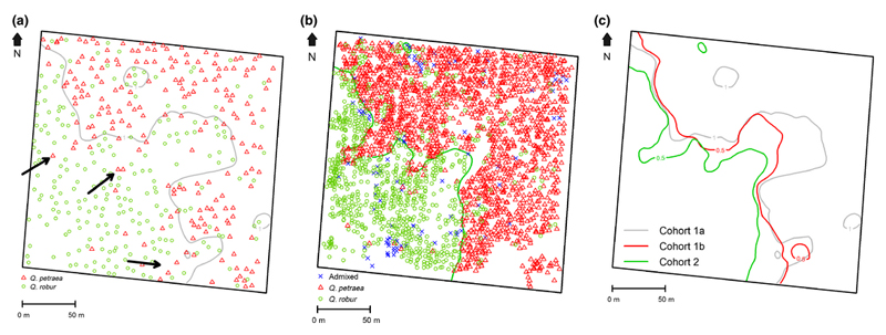 Fig.1