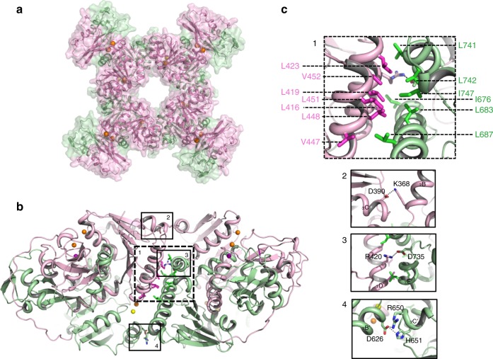 Fig. 3