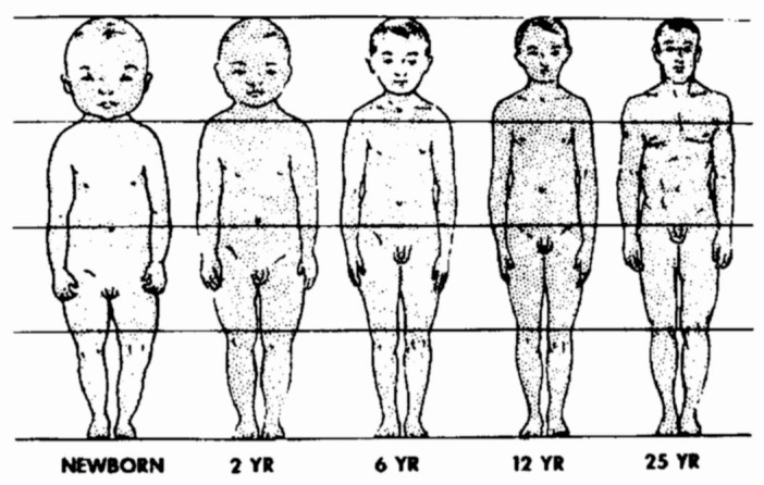 Fig 5