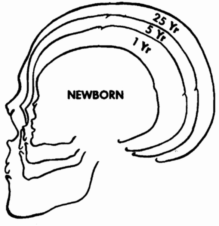 Fig. 9