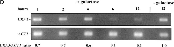 Figure 1.—