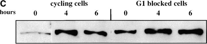 Figure 2.—