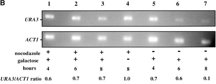 Figure 3.—