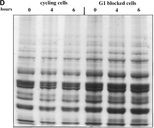 Figure 2.—