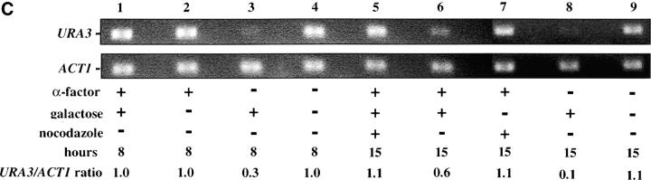 Figure 4.—