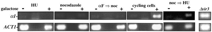 Figure 7.—