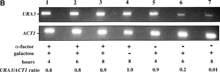 Figure 2.—