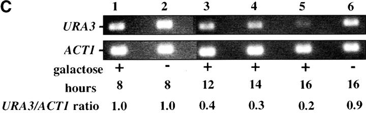 Figure 5.—