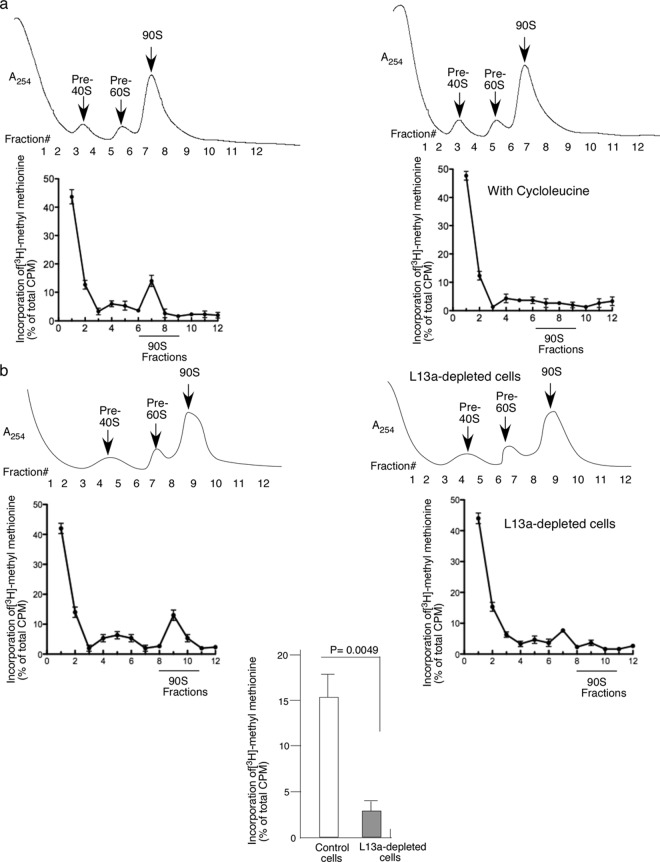 Fig 5