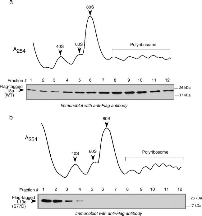 Fig 7