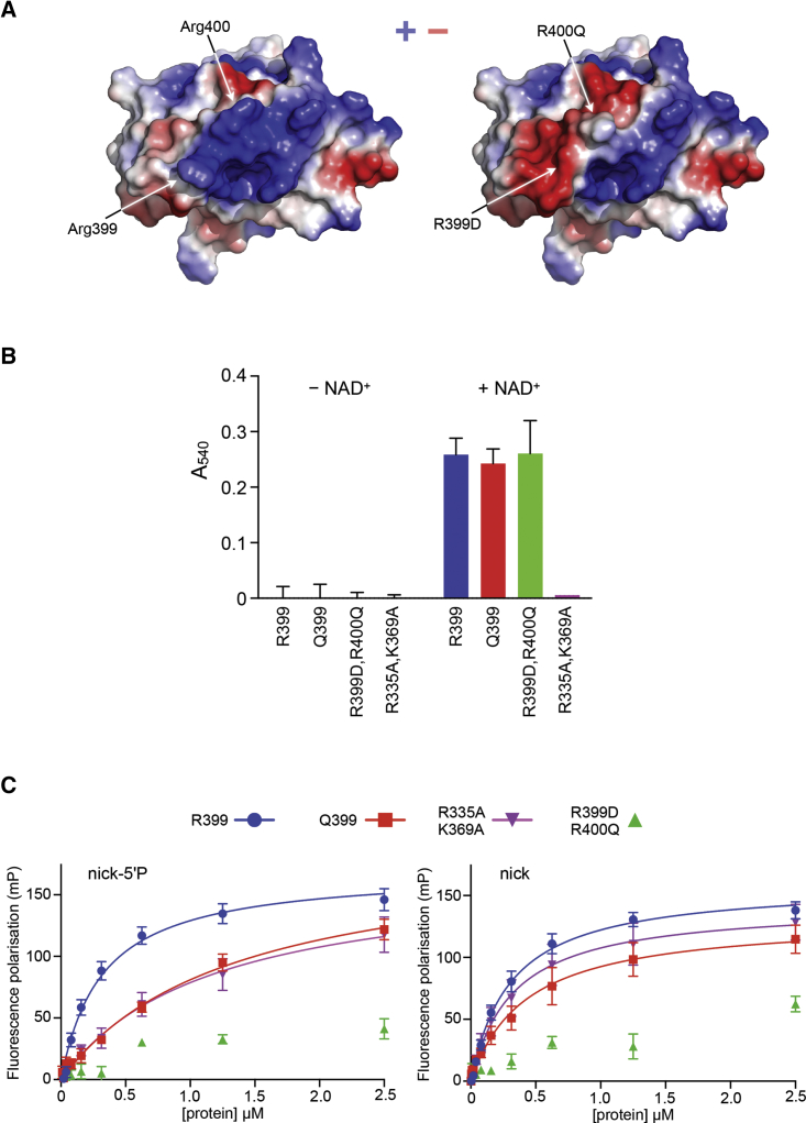 Figure 3