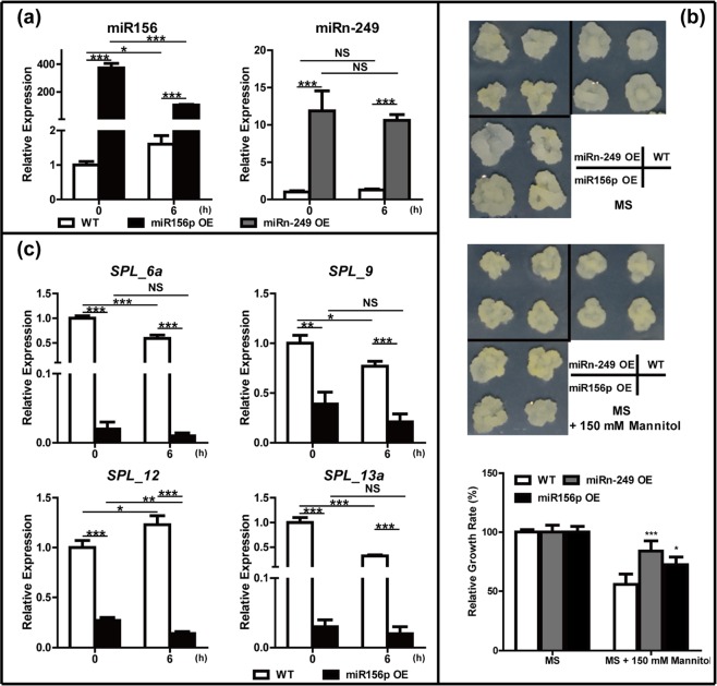 Fig. 11