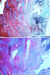 Fig. 10