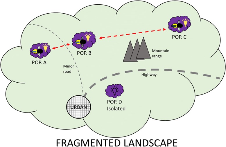 Fig. 2