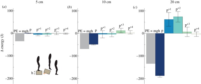 Figure 7.