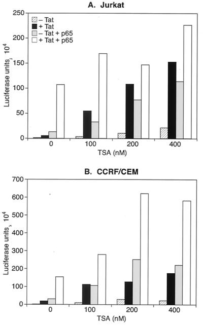 FIG. 10