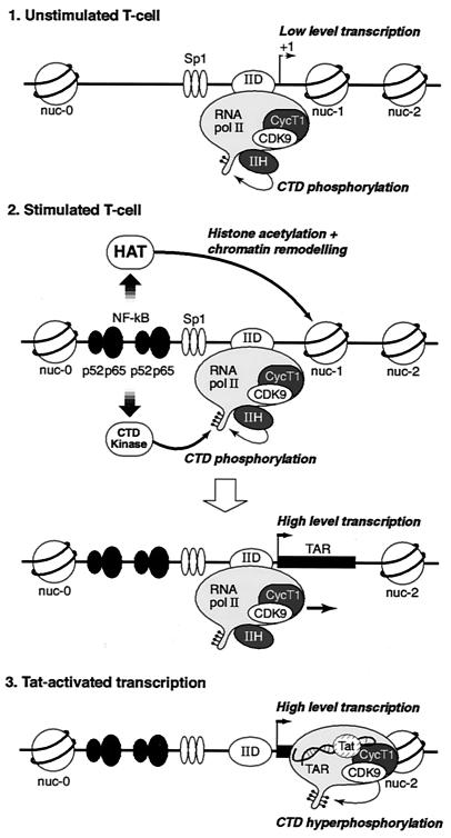 FIG. 12