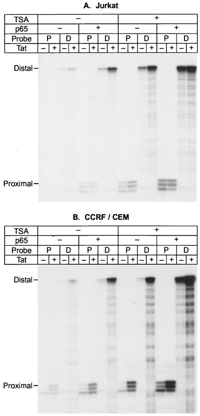 FIG. 11