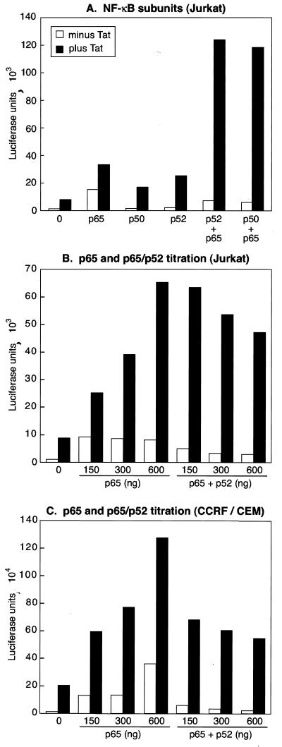 FIG. 6