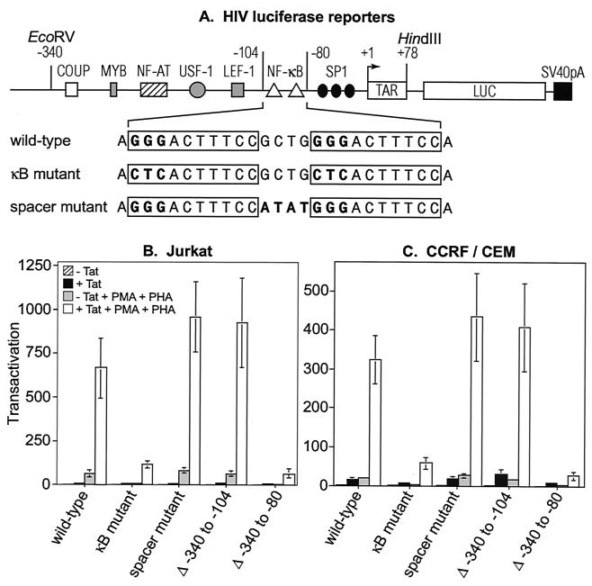 FIG. 1