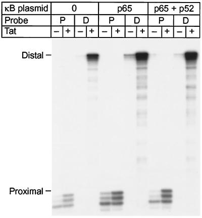 FIG. 7