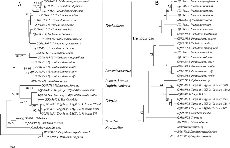 Fig. 6