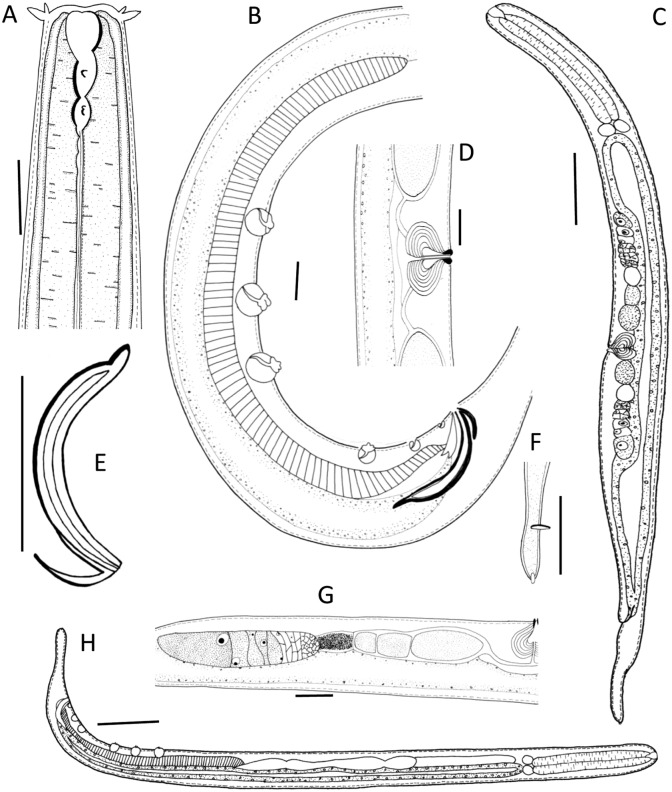 Fig. 5