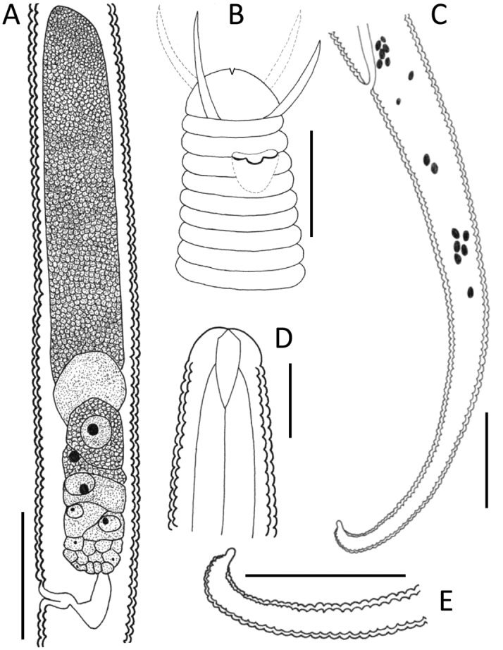 Fig. 9