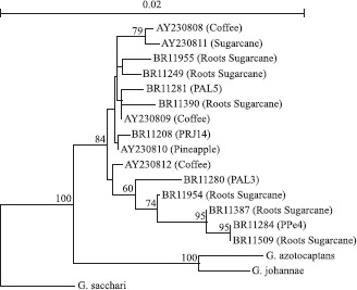 Figure 5