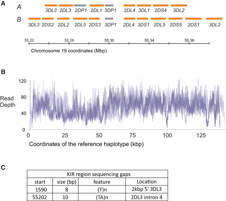 Figure 3