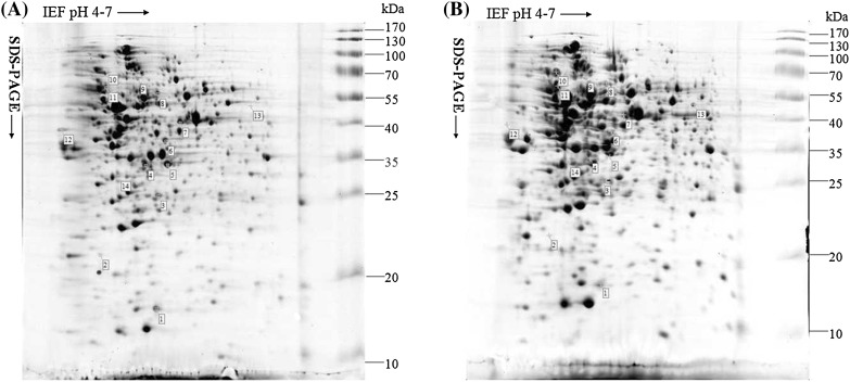 Fig. 2