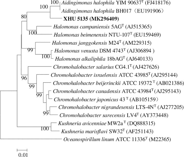 Fig 4