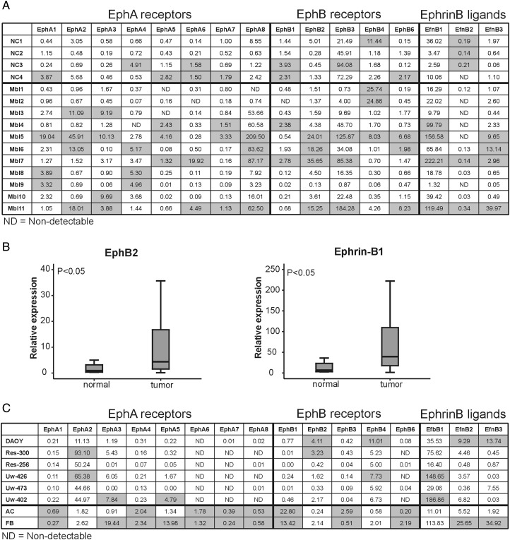 Fig. 1.