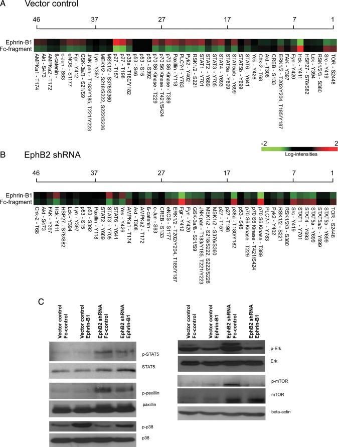 Fig. 6.