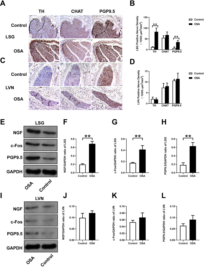 Fig 8