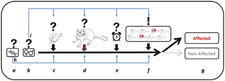 Fig. 10